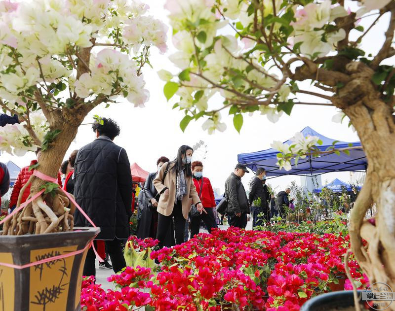 第四届兰州花卉博览会开幕