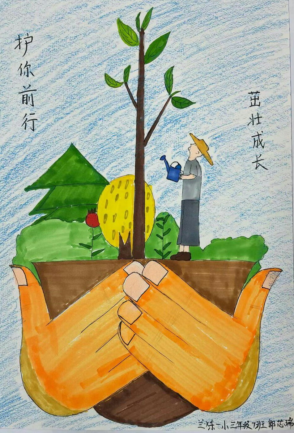 今日好绘画55丨绿色的希望