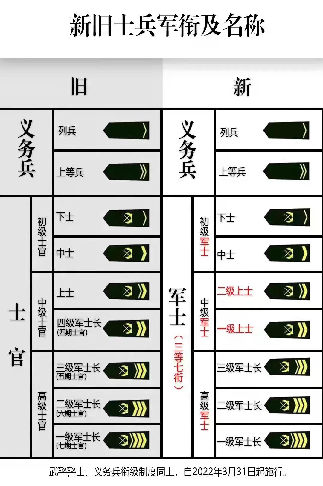 陆军一期士官军衔图片图片