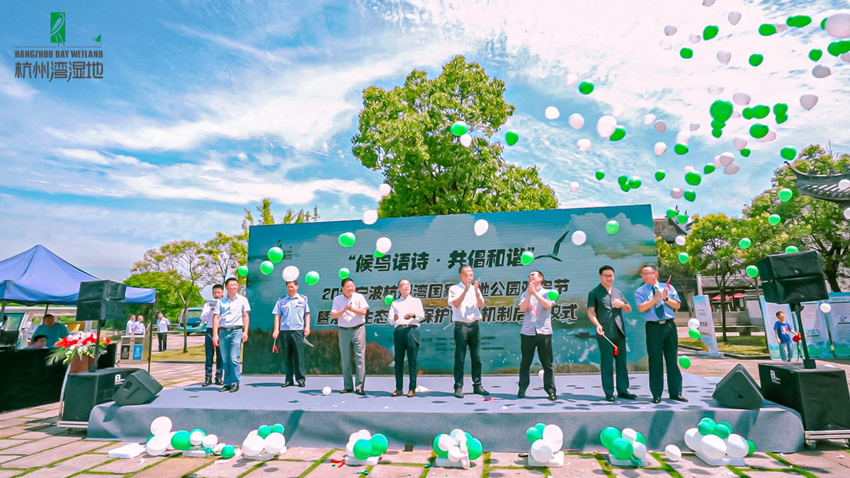 又发现一种珍稀候鸟杭州湾国家湿地公园观鸟节等您来